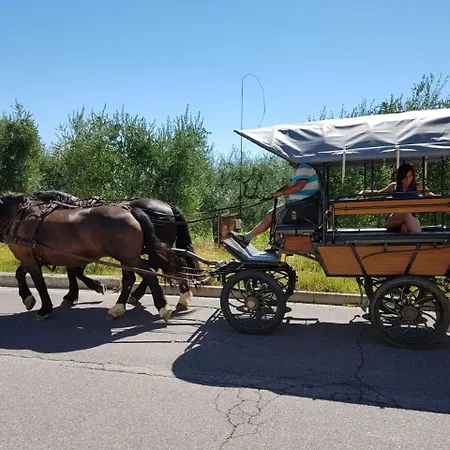 Lamasu Rioverde - Di Garda Ośrodek wypoczynkowy San Felice del Benaco