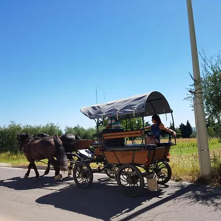 Lamasu Rioverde - Di Garda Ośrodek wypoczynkowy